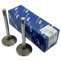 11 34 1 257 837,11341257837,R80 exhaust valve,R90 exhaust valve,R100 exhaust valve