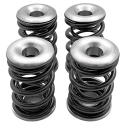 R60 valve spring,R75 valve spring,R80 valve spring,R90 valvespring,R100 valve spring