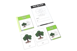 Parts of a Tree Nomenclature Cards 3-6(Printed)