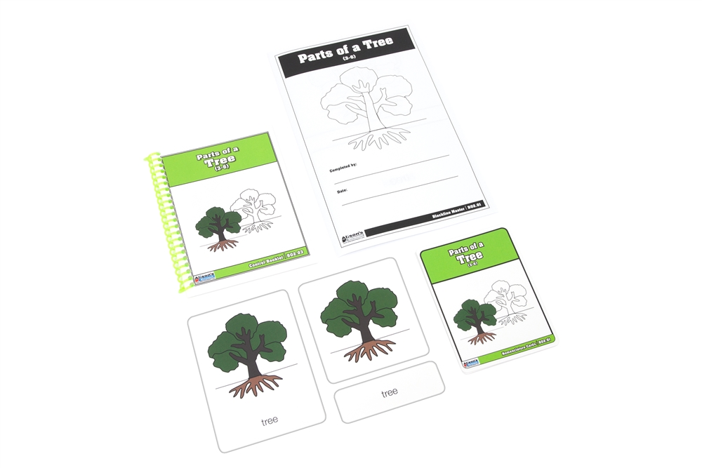 Parts of a Tree Nomenclature Cards 3-6(Printed)