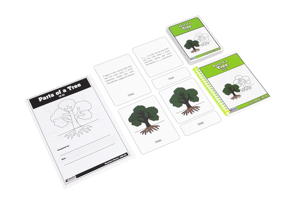 Parts of a Tree Nomenclature Cards 6-9 (Printed)