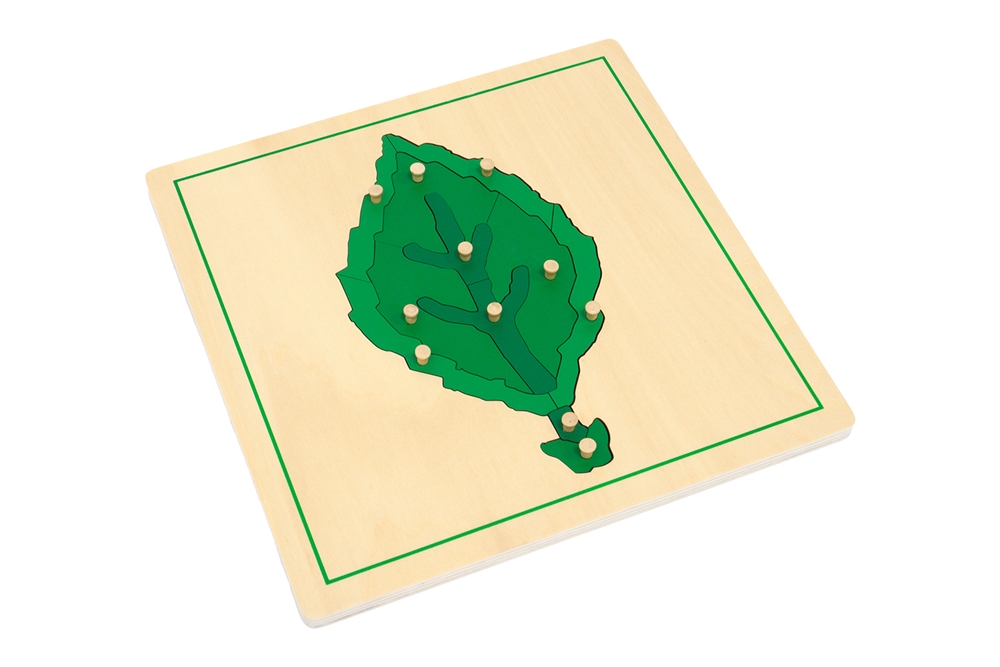 Parts of a Leaf Puzzle