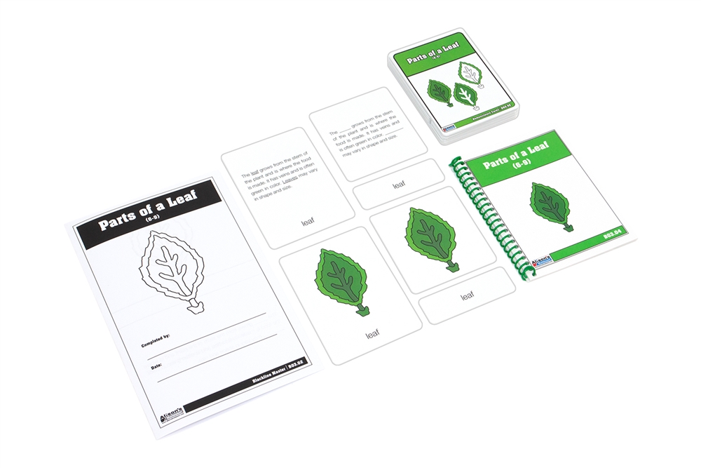 Parts of a Leaf Nomenclature Cards 6-9(Printed)