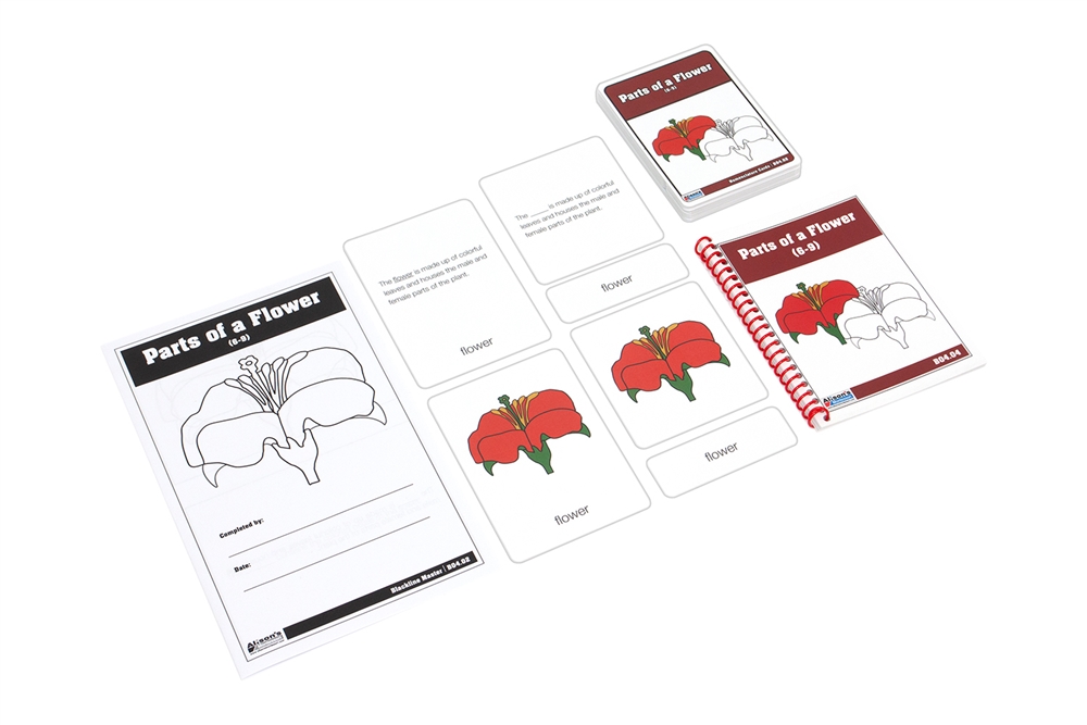 Parts of a Flower Nomenclature Cards 6-9 (Printed)