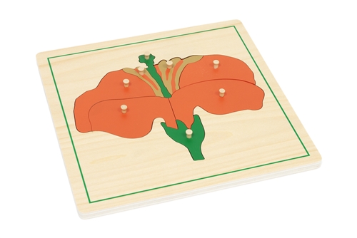 Parts of a Flower Puzzle with Nomenclature Cards 3-6 (Printed)