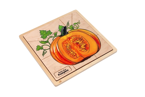 Parts of a Pumpkin Puzzle