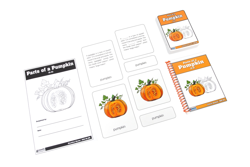 Parts of a Pumpkin (Nomenclature Cards) (6-9)