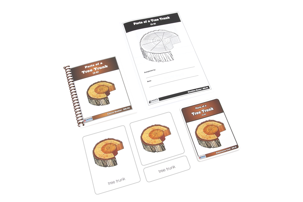 Parts of a Tree Trunk (Nomenclature Cards) (3-6)