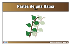 Tarjetas de Nomenclatura Partes de una Rama 3-6 (Printed)