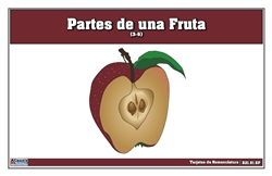 Tarjetas de nomenclatura Partes de una Fruta 3-6 (Printed)