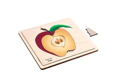 Parts of a Fruit Puzzle with Nomenclature Cards (6-9)