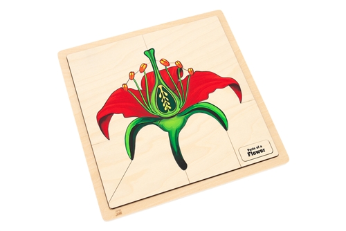 Parts of a Flower Puzzle with Nomenclature Cards (Printed) (3-6)