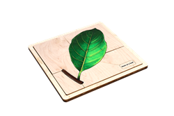 Parts of a Leaf Puzzle with Nomenclature Cards (Printed) (3-6)