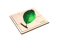 Parts of a Leaf Puzzle with Nomenclature Cards (Printed) (6-9)