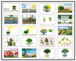 Botany Impressionistic Charts - Large