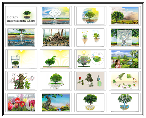 Botany Impressionistic Charts - Large