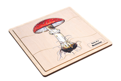 Parts of a Mushroom Puzzle