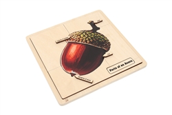 Parts of an Acorn Puzzle