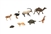 Desert Animals