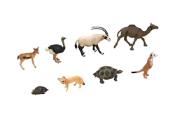 Desert Animals