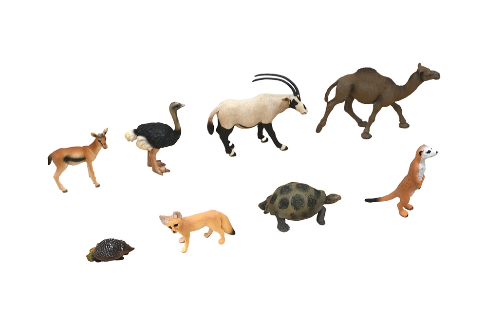 Desert Animals