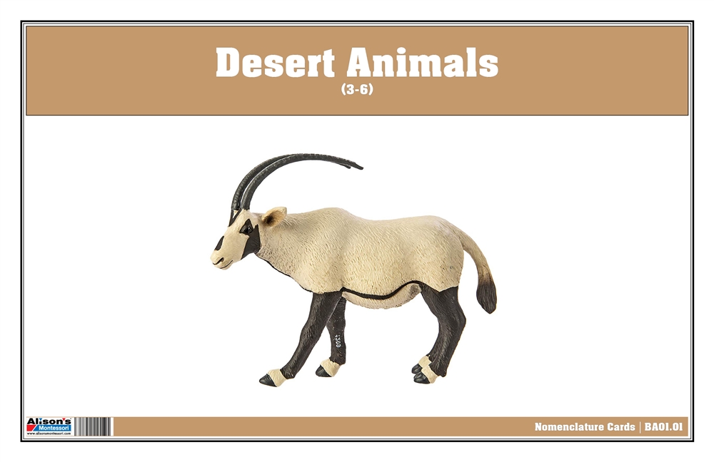 Desert Animals Nomenclature Cards (Printed)