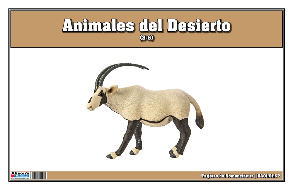 Desert Animals Nomenclature Cards (Spanish)