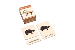 Desert Animals Wooden Nomenclature Cards (3-6) (Printed)