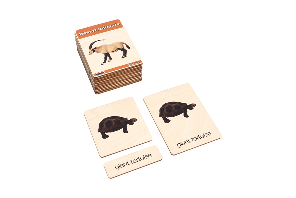 Desert Animals Wooden Nomenclature Cards (3-6) (Printed)
