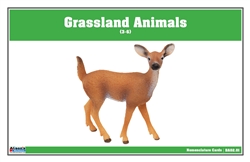 Grassland Animals Nomenclature Cards