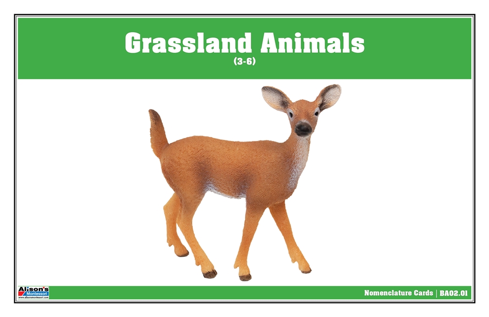 Grassland Animals Nomenclature Cards (Printed)