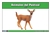 Grassland Animals Nomenclature Cards (Spanish)