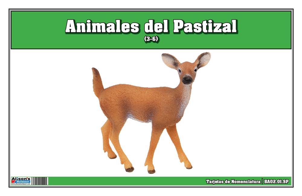 Grassland Animals Nomenclature Cards (Spanish)