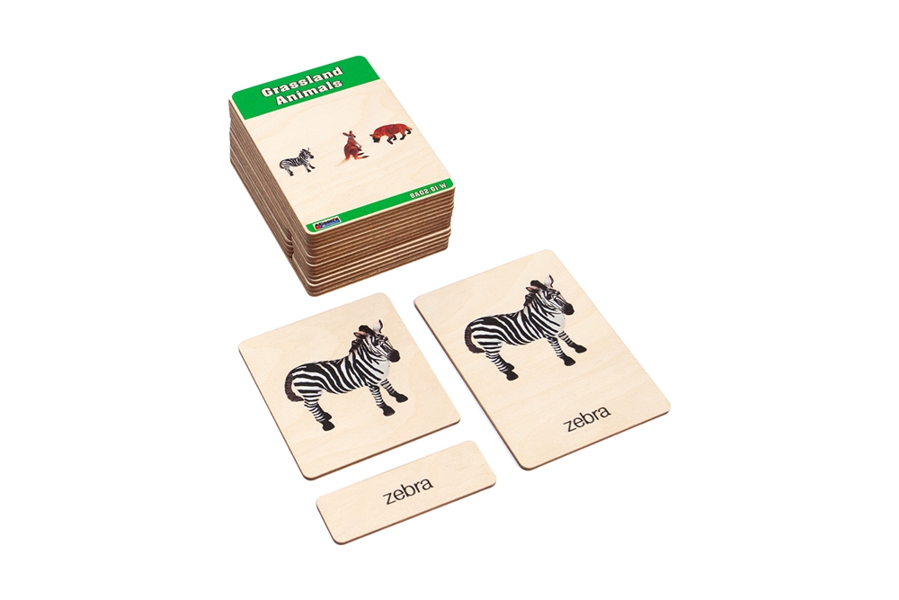 Grassland Animals Wooden Nomenclature Cards (3-6) (Printed)