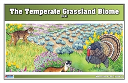 Temperate Grassland Biome Nomenclature Cards (3-6) (Printed)