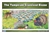 Temperate Grassland Biome Nomenclature Cards (6-9) (Printed)