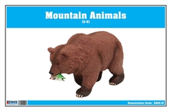 Mountain Animals Nomenclature Cards