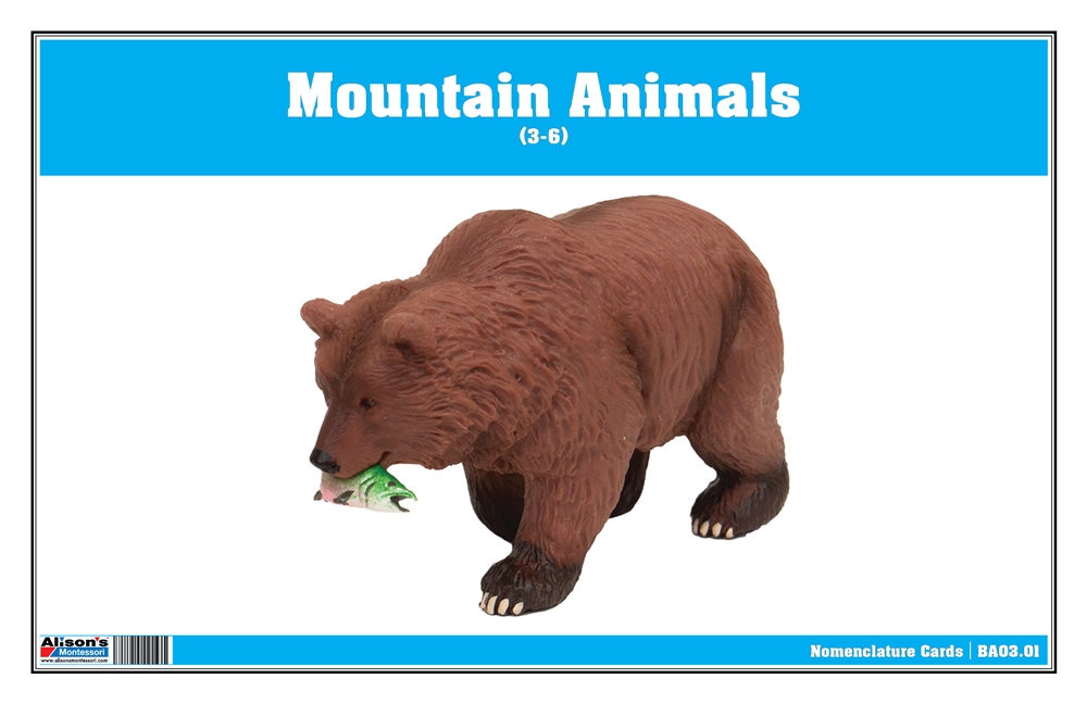 Mountain Animals Nomenclature Cards (Printed)