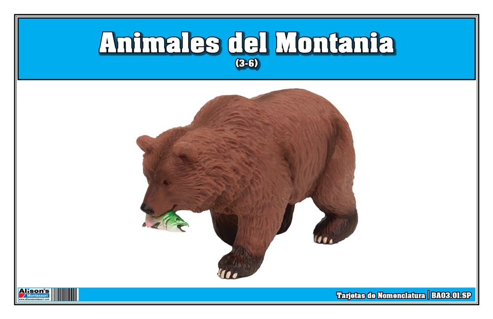 Mountain Animals Nomenclature Cards (Spanish)