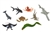 Ocean Animals