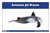 Ocean Animals Nomenclature Cards (Spanish)