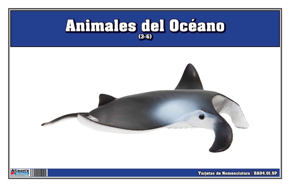 Ocean Animals Nomenclature Cards (Spanish)
