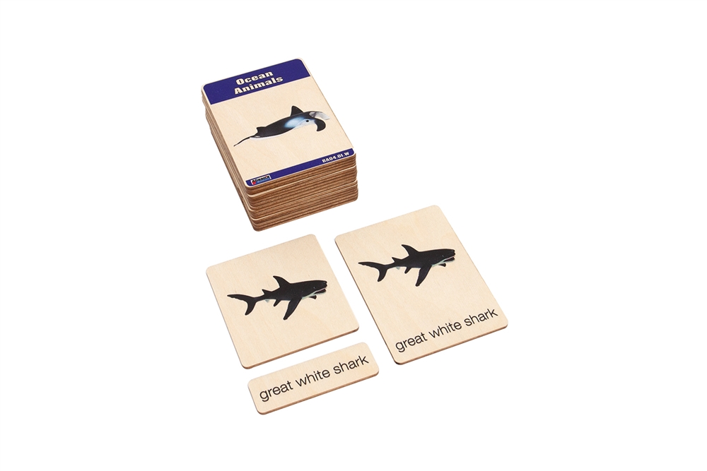 Ocean Animals Wooden Nomenclature Cards (3-6) (Printed)