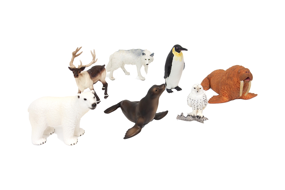 Polar Region Animals