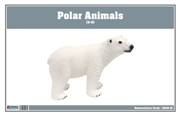 Polar Region Animals Nomenclature Cards (Printed)