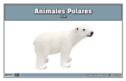 Polar Region Animals Nomenclature Cards (Spanish)