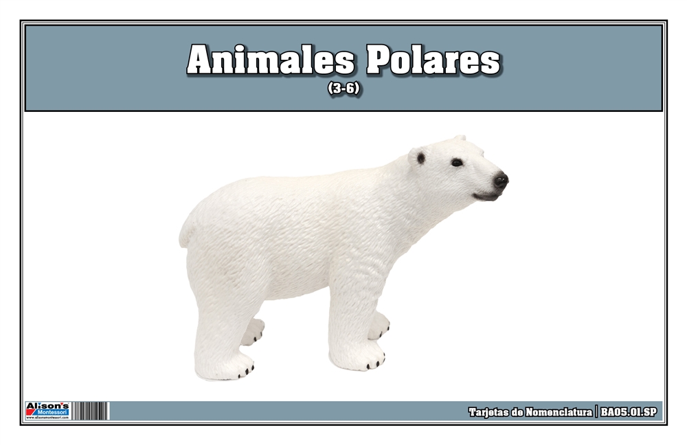 Polar Region Animals Nomenclature Cards (Spanish)