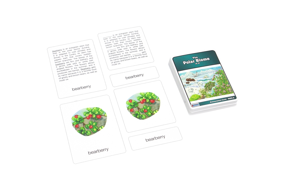 Polar Biome Biome Nomenclature Cards (6-9)
