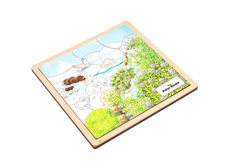 Polar Biome - Complete Set