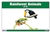 Rainforest Animals Nomenclature Cards (Printed)
